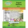 Yogurt Raisins (16 oz, ZIN: 525737)