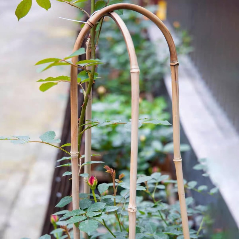 Moromyse Plant Trellis Indoor 16in Bamboo Trellis Loop - Shaped