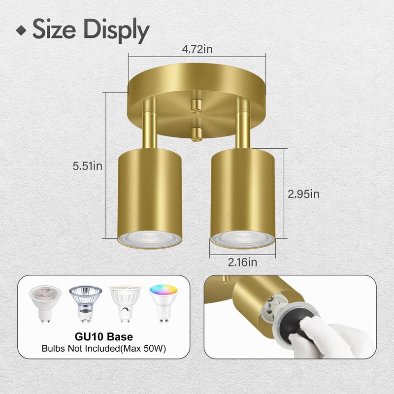 2 Light Track Lighting Fixtures Ceiling, Gold Round Directional Ceiling