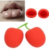 ZJchao Herramienta de Plumor de Labios, Plumor de Plumeta de
