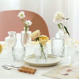 RINEENOM Glass Bud Vases Set of 16 - Small Clear Mini Flower Vases for Wedding Centerpieces, Bulk Vintage Table Decor, Home, Party & Floral Arrangements