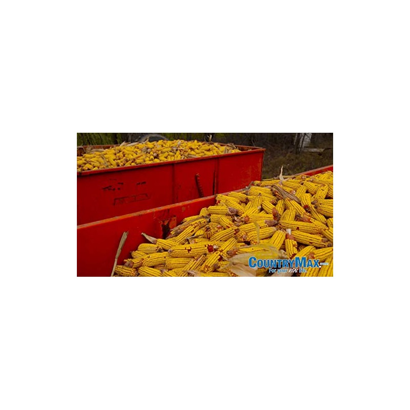 Combo Picnic Table Squirrel Corn Cob Feeder and Bulk Corn
