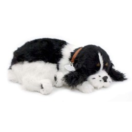 Perfect Petzzz Cocker Spaniel The Original Breathing Pet Puppy