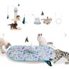 CA&T 4 In 1 Laser Magic Cat Toy With Auto