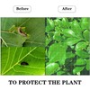 3Pcs Plant Barrier Net Mesh, Plant Barrier Net Mesh, Bird