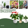 Monstera Plant Support, Durable Iron Plant Stem Supports, Plant Stabilizer