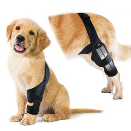 Dog Knee Brace for Hind Front Leg, Adjustable Dog ACL Recovery Aid Support, Cruciate Ligament Support for Injured Elderly Dogs Back Legs, Keep Warm and Pain Relif, Diving Cloth Material (Black, L)