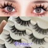 Insanely strong performance stage hem eyelashes (5 pairs 17mm), 1 piece, 5 pairs / 미치게 강렬한 공연용 무대용 앙마 속눈썹(5쌍 17mm), 1개, 5쌍