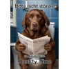Blechschild Humor Aluminium 20x30cm - auf der Toilette mit Zeitung