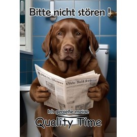 Blechschild Humor Aluminium 20x30cm - auf der Toilette mit Zeitung Labrador Retriever braun 77