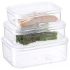Lustroware Micro Clear Kitchen Pantry Food Storage Container Canister Set