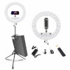 Large Ring Light with 72" Tripod Stand, (White, 13)