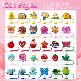 30 Pcs Different Random Straw Covers Cap,Cute Dust Proof Straw Toppers,Reusable Straw Covers Cap for Tumblers,10 mm Tumbler Cup Straw Accessories