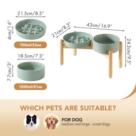 Havniva Ceramic Raised Slow Feeder Dog Bowl Set, Elevated 7.3inch Bowl and 8.2inch Slow Pet Food Dish with Wooden Stand for Medium and Large Dog (2 x Light Green+ Stand)