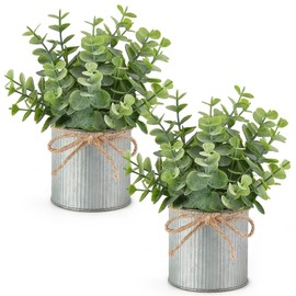 Mkono 2 Packs Small Fake Plants in Farmhouse Galvanized Pots Table Centerpiece Mini Faux Eucalyptus Potted Artificial Plants for Bathroom Shelf Room Rustic Home Decor