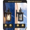 EDISHINE Outdoor Motion Sensor Porch Light Dusk to Dawn Wall