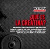 Testrol Creatina Essential en Polvo Creatina Monohidratada Apoyo a Potencia,