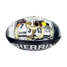 Sherrin AFL Geelong Cats Song Football, Size 2