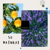 Peeling & Scrub Natural Handmade Soap Bars - 2 Black