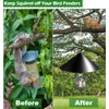 Fandature 19 Inch PP Squirrel Proof Baffle for Protecting Outside