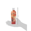 Pro Tan Hot Tottie Hot Action Dark Tanning Lotion -