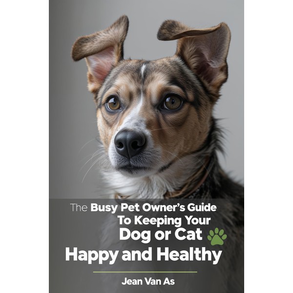  The Busy Pet Owner's Guide to Keeping Your Dog