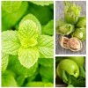 Aromas Para Difusores Profesionales A Base De Aceites 100ml Spa