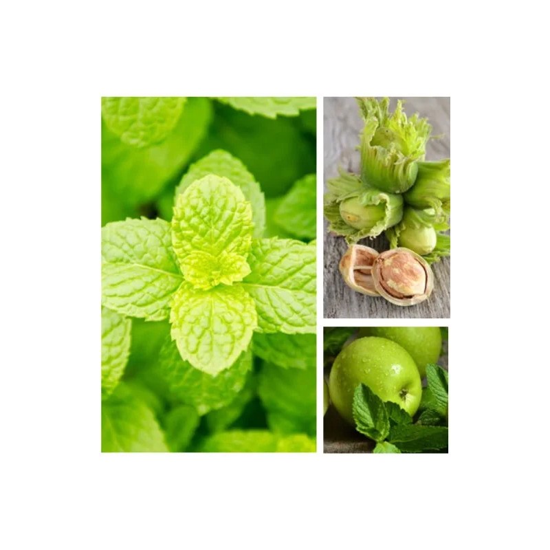 Aromas Para Difusores Profesionales A Base De Aceites 100ml Spa