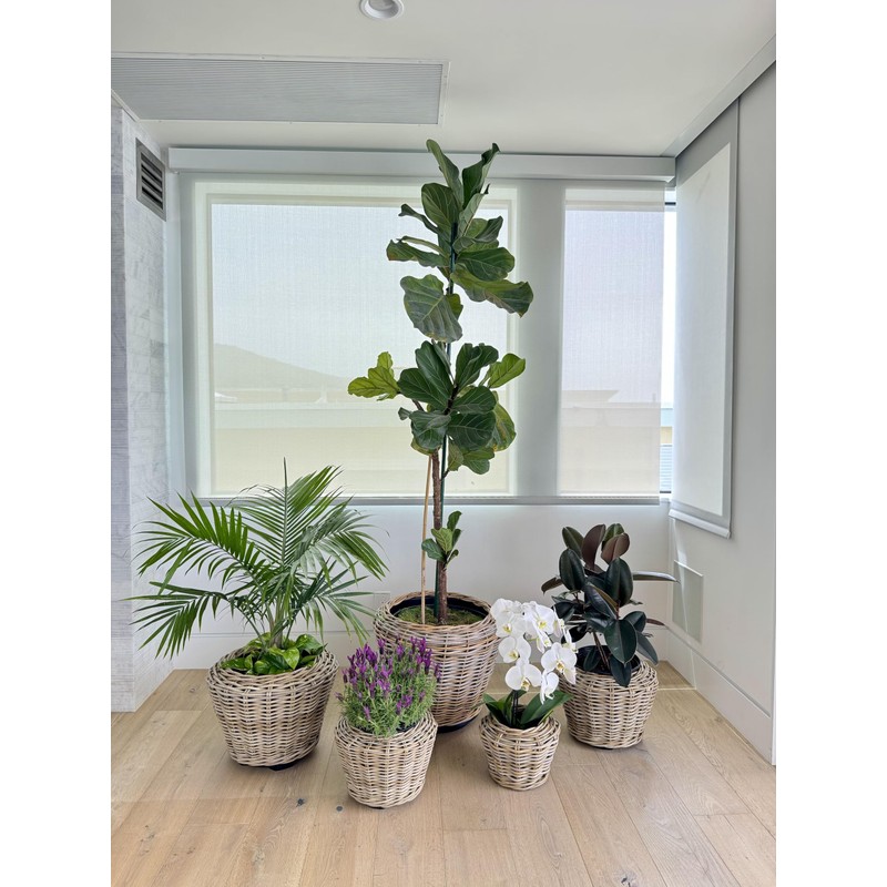 Rattan Kobo Indoor Outdoor Planter Basket with Plastic Pot Medium