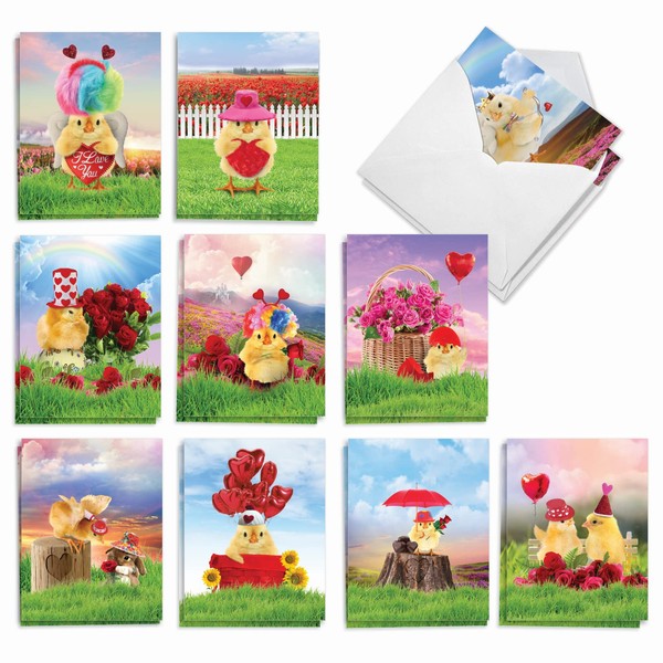 The Best Card Company Loving Chicks - 20 Assorted Boxed