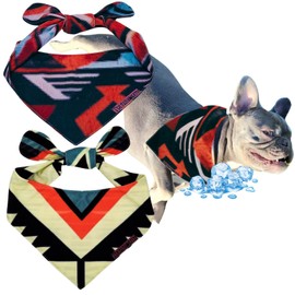 Cooling Dog Bandana, Puppies Dog Products, Dog Supplies, Puppy Essentials, Reversible, Breathable Microfiber, Shaped for Pets, All Breeds, Adjustable, Aztec Reds 2-Pack (Large)