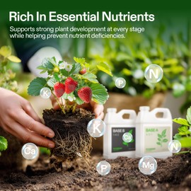 VIVOSUN Liquid Nutrients Base A & B Bundle, Grow Big Hydroponic Fertilizer, Supports Vegetative and Flowering Stages for Outdoor, Indoor Plants, Best Plant Food, Set of Quarts