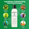 Hydratherma Naturals Moisturizing Boosting Shampoo, 8.0 Fl. Oz