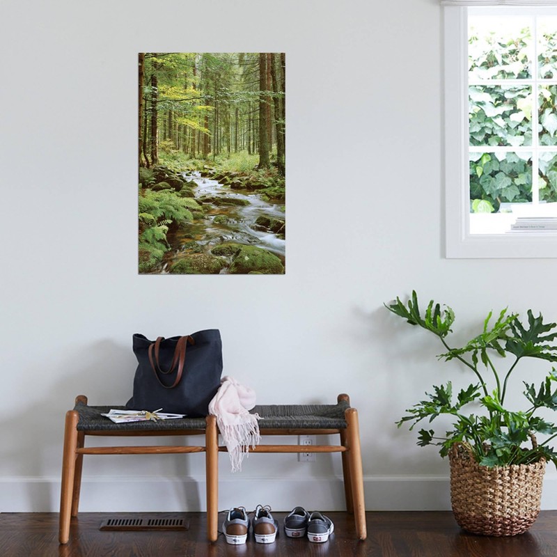AllPosters Wall Poster Forest Creek, 24x36