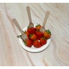 Hey Biota - Pack of 100 - Wooden Fork -
