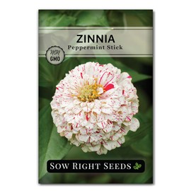 Sow Right Seeds - Peppermint Stick Zinnia Seeds for Planting - Non-GMO Heirloom Packet to Plant & Grow an Outdoor Home Flower Garden - Beautiful, Giant Double Blooms to Cut and Come Again - Annual (1)