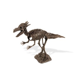 Dr. Steve Hunters cl1670 K – Dino Excavation Kit, Stygimoloch Skeleton