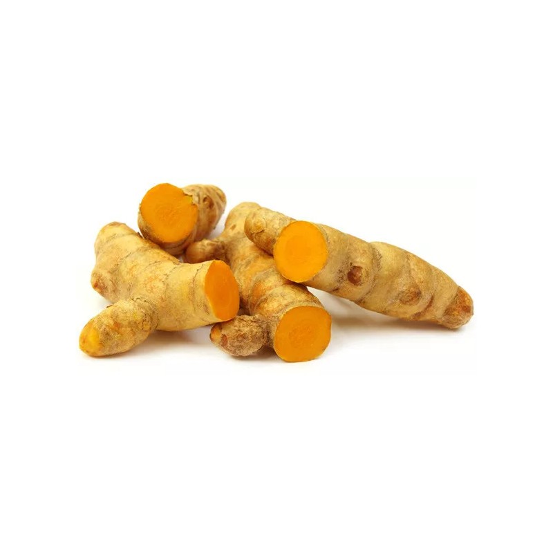 NINE SHANI Turmeric Roots Yellow Fresh Whole Raw Non GMO