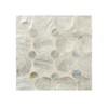 Shell Coasters, Set of 5, Asian Goods, Natural Shells, Capiz,