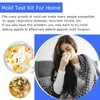 Luxiys Mold Test Kit for Home – DIY Black Mold