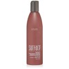 Surface Trinity - Champú con bloqueo de color, 284 ml