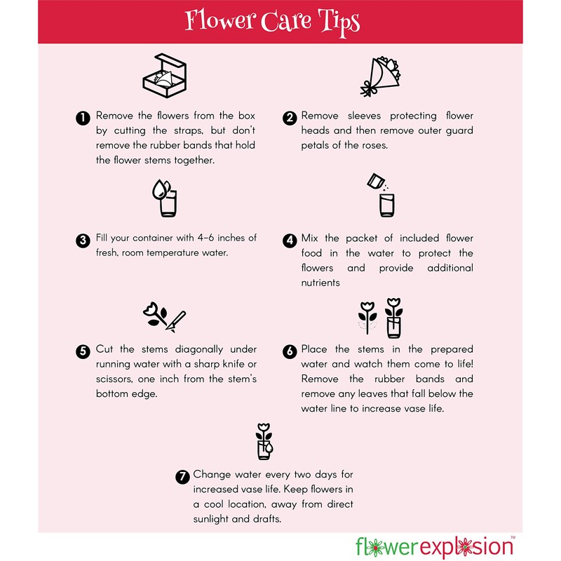 Fresh Cut Tinted Purple and White Roses from Flower Explosion