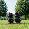 Childrens Kids Boys Girls 4 Wheel Adjustable Quad Roller Skates