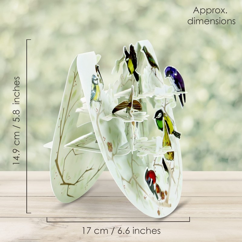 SANTORO Popnrock, 3D Pop Up Greeting Card - Garden Birds