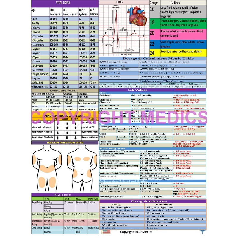 Nursing Storage Clipboard -Multiple Reference Sheets Great for Clinical rotations