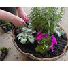 Bosmere 24" Pre-Formed Replacement Coco Liner with Soil Moist for