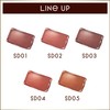 Excel Lipsteady SD02 Talk to You Lipstick, Mucous Membrane, Difficult