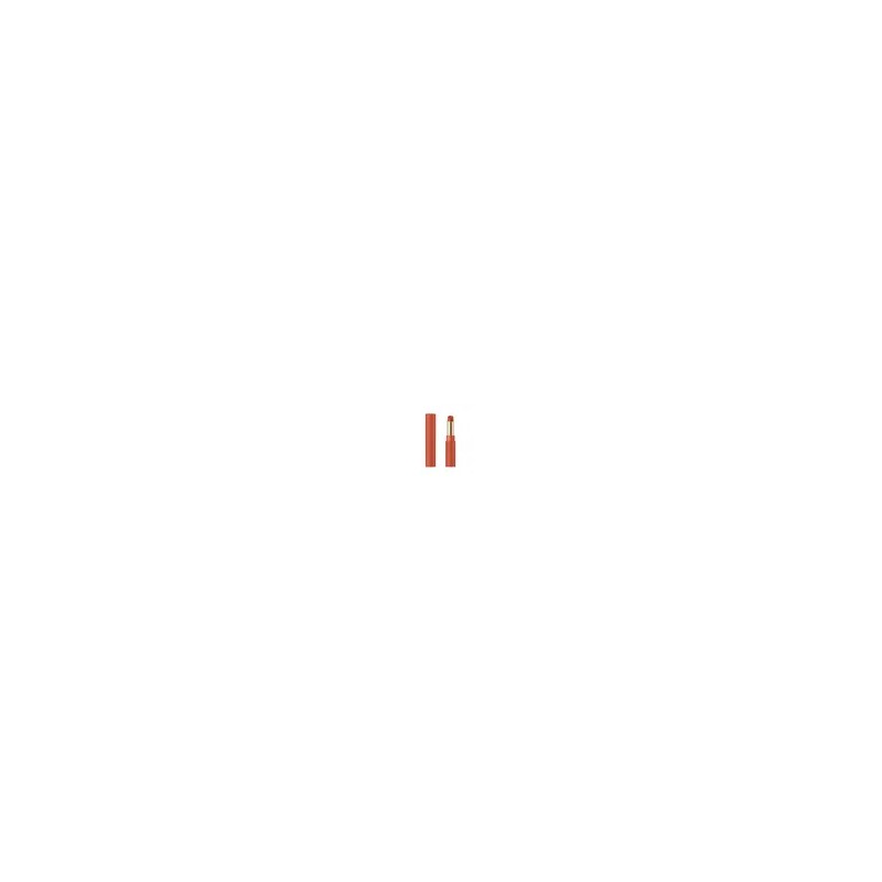 Lip Set Pack 2 Pack Orange for daily makeup and