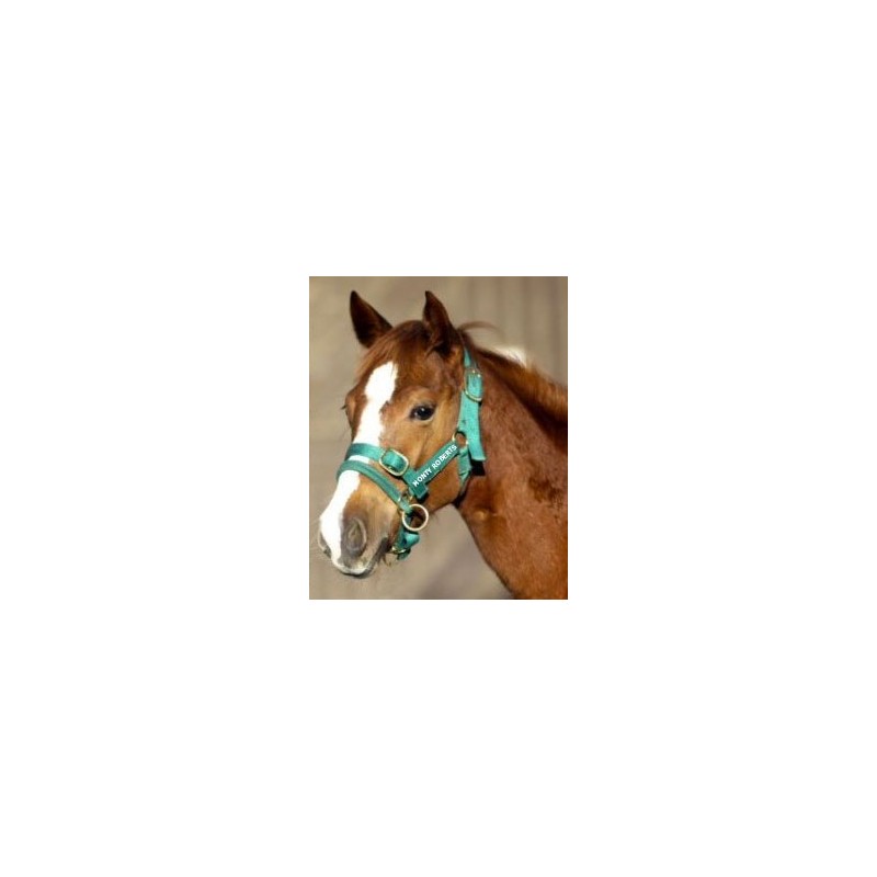 Monty Roberts Dually Headcollar (Extra Small - Green)