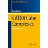 CAT(0) Cube Complexes: An Introduction (Lecture Notes in Mathematics, 2324)